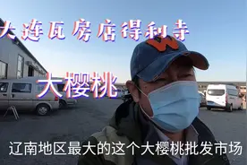 大连的特产大樱桃来了，带大家一起看看大樱桃的批发价格视频封面