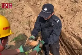 爆破销毁瞬间！河南一小学施工挖出100多枚炮弹，疑为日军遗留视频封面