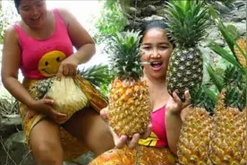 原始生存：野外发现美味野生大菠萝，在溪水里冰镇后再吃太美味！视频封面