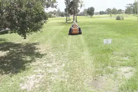 割草机一过杂草就被清理干净了，这效率也太高了！