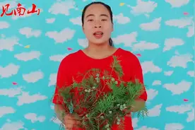 柏树果和柏树叶的妙用也太厉害了吧解决好多人困扰，了解一下视频封面