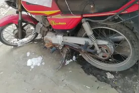 小郭下乡收货，遇上雅马哈野马摩托车，一出价立马马变卦？视频封面