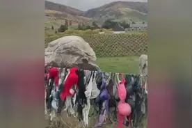 紐西蘭 內衣长城视频封面