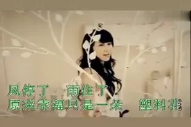 乌兰托娅演唱《塑料花》MV演绎了塑料花般的塑料情。