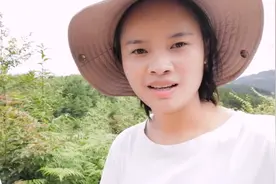 种植茯苓投资10万保守赚10万，第三年赚10万，一般15万以上视频封面