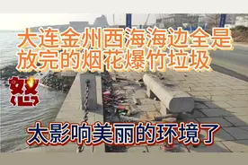 大连西海海边全是放完的烟花爆竹，太影响美丽的海边景色了