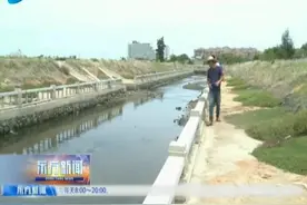 东方多部门联合整治老福根沟上游养殖场污水乱排乱放问题视频封面