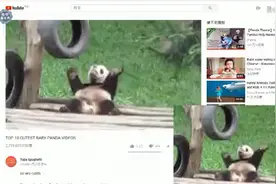YouTube世界熊猫排位赛TOP10！各国网友纷纷力挺，第一名是……视频封面