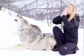 野狼真会铭记救命之恩？女孩多年前拯救一只狼，如今变这样！视频封面