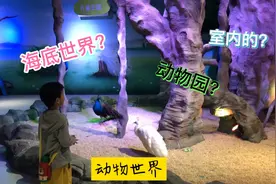 陪娃Vlog｜冬天适合带娃看动物的地方，南京金鹰地下动物世界视频封面