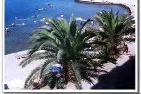 英国皇家爱乐乐团演奏的世界名曲主题 《陶醉于门德尔松的旋律》视频封面