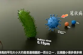解读什么是病毒，它是怎样侵犯人体的#知识青年视频封面