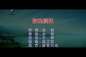 风之琳-你的模样_国语_流行