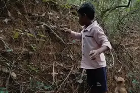 蟒蛇的缠绕力有多强？要不是看了视频，很难相信这个事实！.