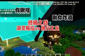 我的世界:终极之战，凋灵斯拉vs 执行之龙