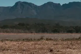 大叔发明豹子摩托车，身高1米8才能骑，售价能买不知道能买什