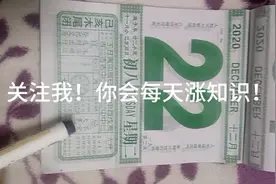 每天教你看日历！学会了不求人！视频封面