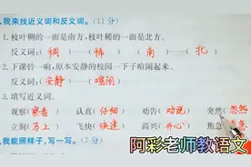 小学语文二年级词语复习，近义词和反义词训练，掌握有多少视频封面