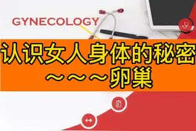 认识女人身体的秘密～～～卵巢