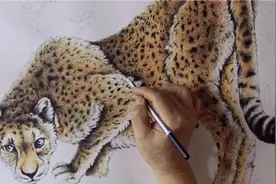 丝毛动物系列:在画动物“猎豹”时，我们用彩铅作画更好看