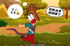 阿诺从女儿国回来了，接着来到了澳大利亚，等待阿诺的会是🤑视频封面