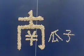 南瓜子“色选”分为大 中  小  三个等级   瓜子小苗   给你介绍视频封面