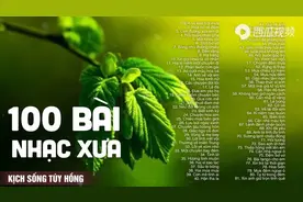 越南歌曲100首 Nhạc Vàng Xưa Hải Ngoại Quá Say Mê