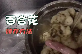 主妇买了三斤鲜百合，回到家全部清洗掉，一次吃不完如何储存？视频封面