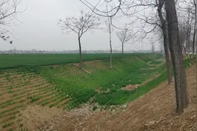 为什么近30年来，中国河南乡村沟渠水越来越少？直至干涸？视频封面