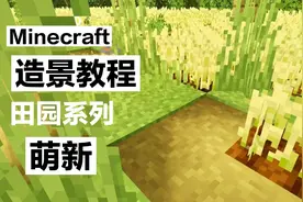 我的世界造景教程：萌新也能学会的田园系列，超简单