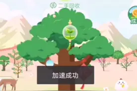 看看回收旧衣物送了多少蚂蚁森林能量