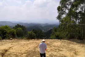 赖布衣留题地犀牛望旗   坐标容县杨村视频封面