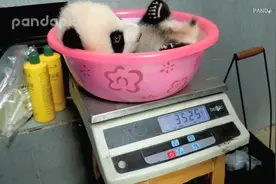 可快递，邮费到付视频封面