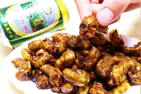 油炸金蝉，直接下锅炸就错了，多加一步，金黄酥脆又入味，太香了