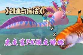 【创魔日记】极品大顽皮蝾螈堪比虎皮鲨  究竟是真是假？视频封面