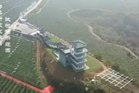 带你看看国家级果树研究所的苹果示范园长啥样？视频封面
