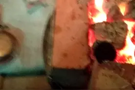 《花儿与少年》视频封面