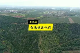 陕西白鹿塬视频封面