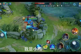 王者10星的排位赛视频封面