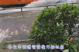 为什么突然出现这么多水呢？原来在这呢！视频封面