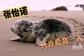 《只许爱我一人》从青春到黄昏花前月下佳人陪伴，红尘轮回梦一场