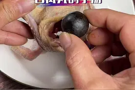 自从有了抖音，这款汤就不再是广东人才懂#煲汤 #美食教程 #鸽子汤 #喝出好气色#高州补之林