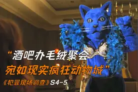 酒吧举办毛绒派对，场面混乱如成人版疯狂动物城《犯罪现场调查》视频封面