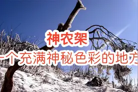 神农架，一个充满神秘色彩的地方，你所知道的神秘是什么呢？视频封面