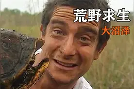 挑战荒野大沼泽，贝爷不仅欺负鳄鱼，还吃上了碳烤乌龟！视频封面