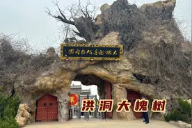 从大槐树迁出的人有何共同点，100万人1230个姓氏，有你的祖先吗