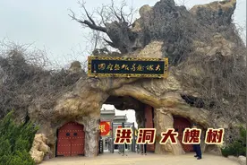 从大槐树迁出的人有何共同点，100万人1230个姓氏，有你的祖先吗