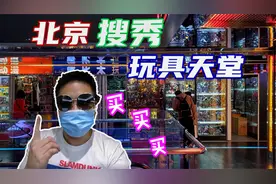 血洗北京搜秀动漫城，被迷友认出尴尬至极-刘哥模玩视频封面