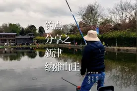 20元钓一天，渔获自由。这样的地方钓一天还可以，用蚯蚓效果还好视频封面