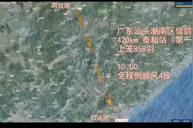 3D动态还原赛鸽归巢轨迹，高位获奖鸽并非浪得虚名，一路领先！视频封面